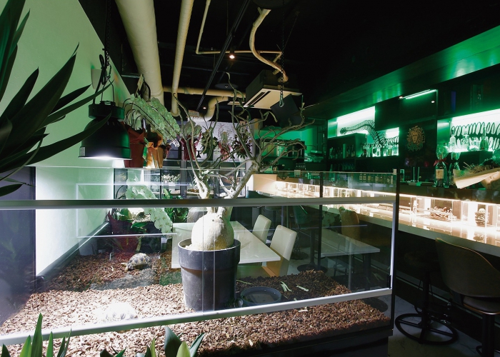 カウンターにもズラリとショーケースが並ぶ