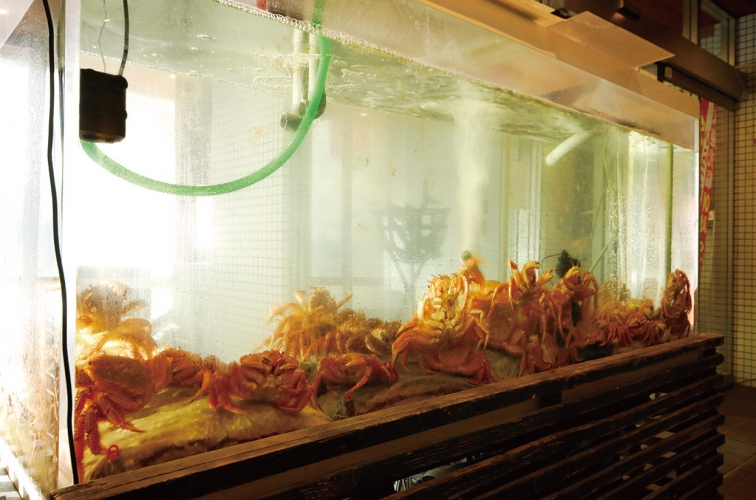 店頭の大きな水槽には活きたカニがいっぱい、ススキノでカニを食べるなら開陽亭へ